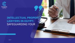 Intellectual-Property-Lawyers-in-Egypt-Safeguarding-Your.jpg