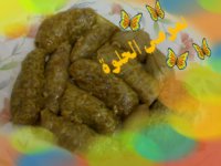 ملفوف كرنب 1.jpg