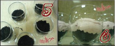 سترو اوريو 12.jpg