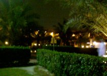 IMAGE_00249.jpg