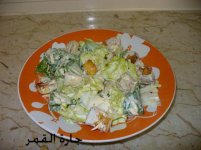 سلطة سيزرnonia.jpg