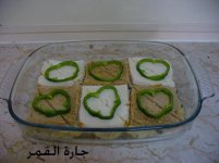 توست الشطرنج2.jpg