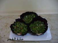 قوارب التبولة.jpg