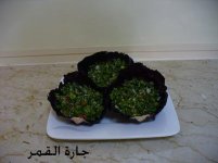 قوارب التبولة2.jpg