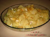 DSC01290.jpg
