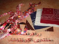 DSC01312.jpg