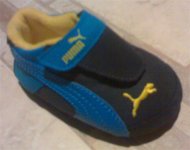 Puma.jpg