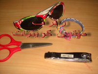 DSC01402.jpg