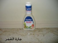صلصة بلوتشيز.jpg