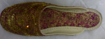 Slipper2.jpg