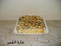 خلية النحل1.jpg