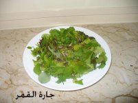 سلطة الحب الشمسي1.jpg