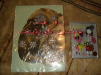 DSC01600.jpg