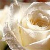 attoma_sh