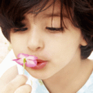 سلحوفه