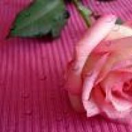 همسةمشاعر