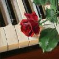 نور الدنيا75