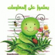 دودة كوتية