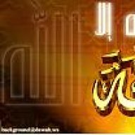 الوردة البيضاء65