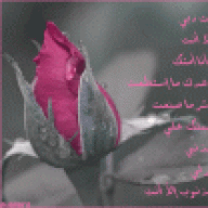 زينه الكويت