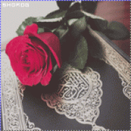 سفيرة الجرح