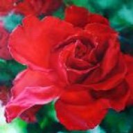 al _9afaR ~ Q8