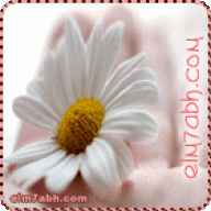 ورده ملونه