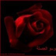 سوسو العصلة