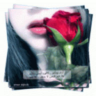 ورود المطيري