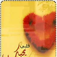 غاليه الاثمان