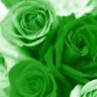ورود خضرا