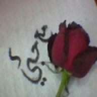 om.dodo