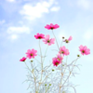 راقيـة