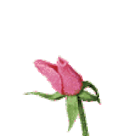 pink_zozo