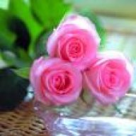 أحـــاسيـــس