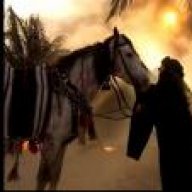 إنسانة أكثر