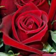 red flawer