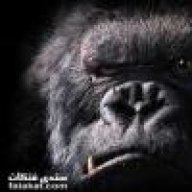 ام الدواهي