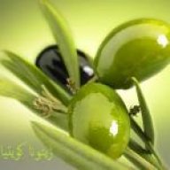 زيتونا كويتيا