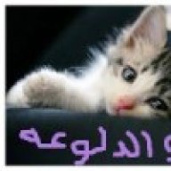 لولو الدلوعه