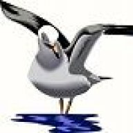 Q8SeaGull
