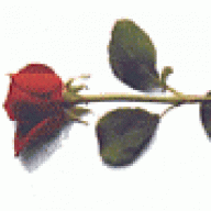 اسيرة الاحزان