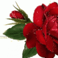 @جورية@