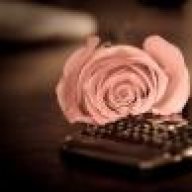 كنوز الرياض