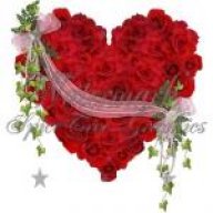 المهاجرة 2010