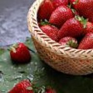 @نووسه@