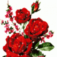 زهرة الجنوب
