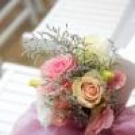 دلع الخبر2010