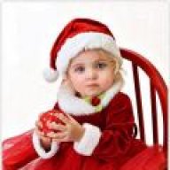 توتــــه21