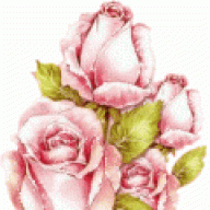قبوله